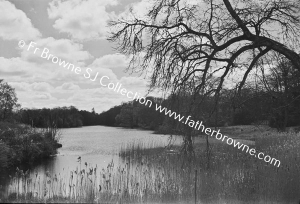 LAKE IN WINTER